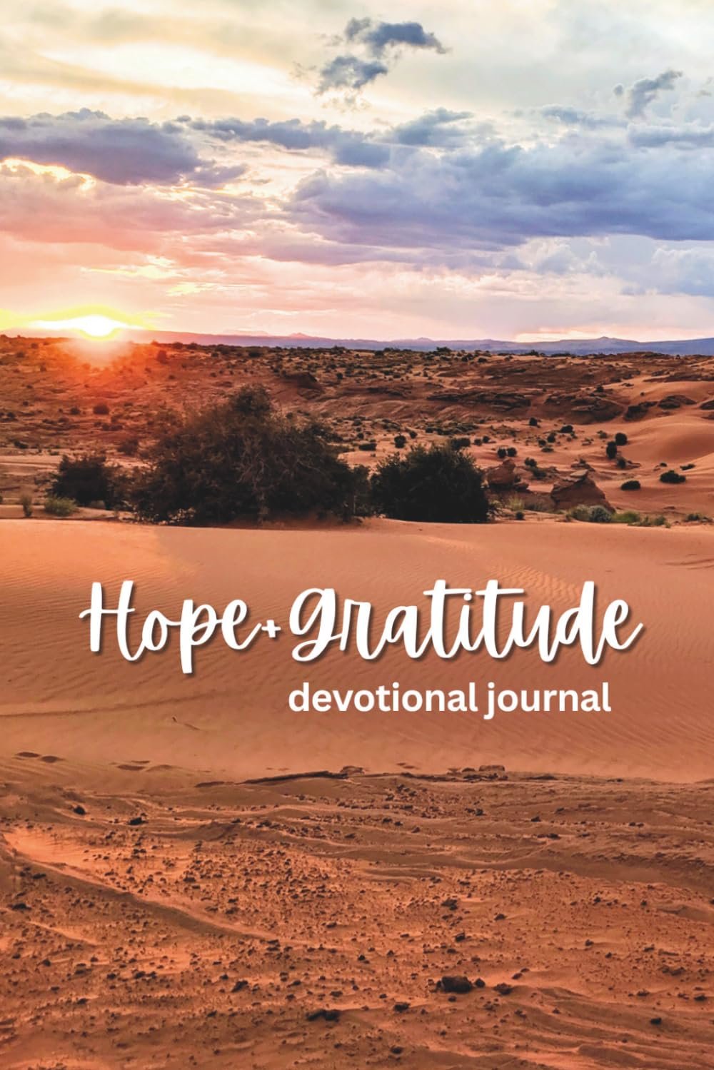 Hope+Gratitude: devotional journal