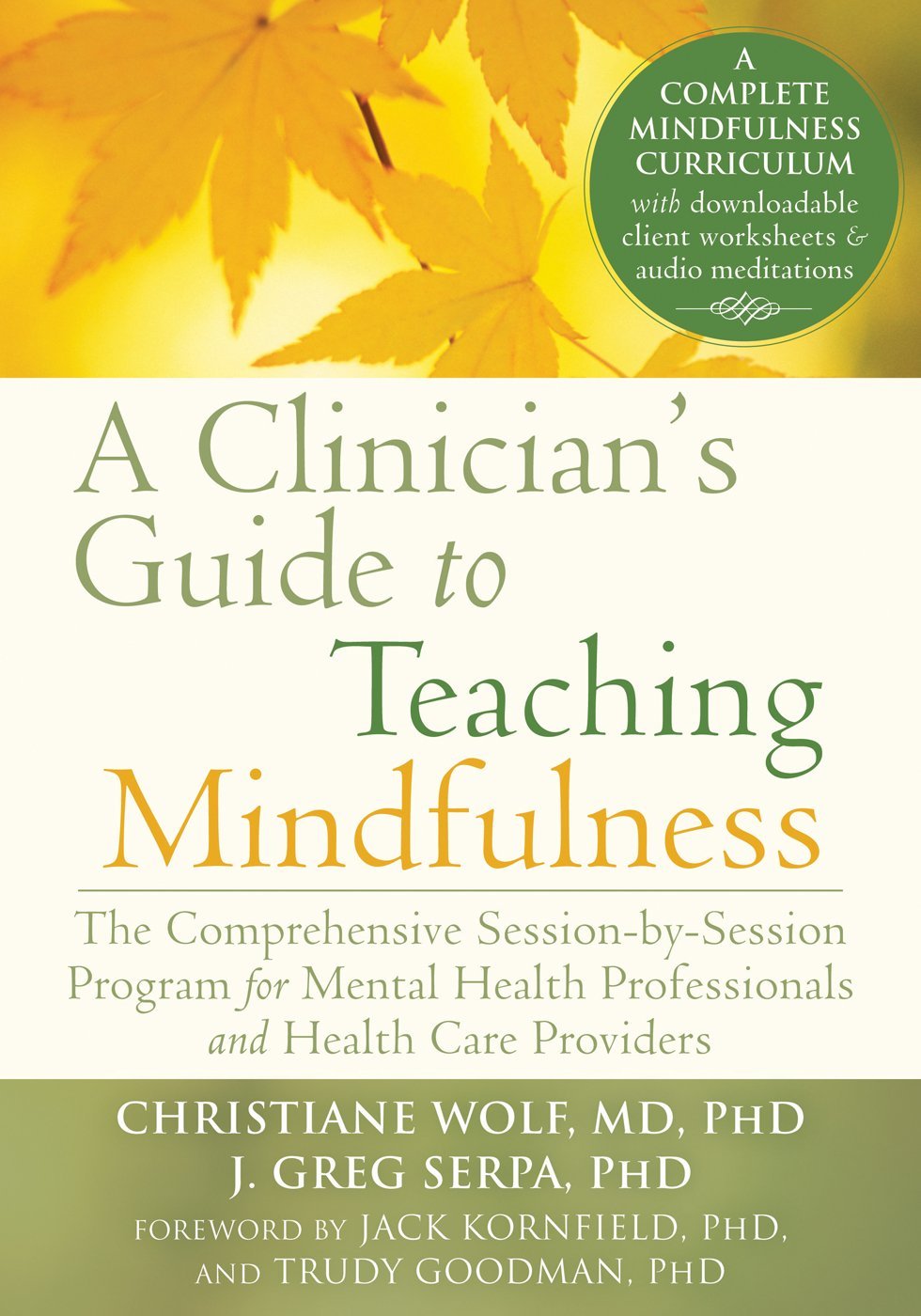 A Clinician’s Guide to Teaching Mindfulness: The Comprehensive Session-by-Session Program for Mental Health Professionals and Health Care Providers