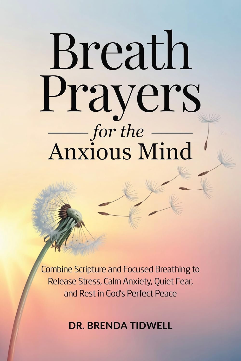 Breath Prayers for the Anxious Mind: Combine Scripture and Focused Breathing to Release Stress, Calm Anxiety, Quiet Fear, and Rest in God’s Perfect Peace (The Anxious Mind Series)