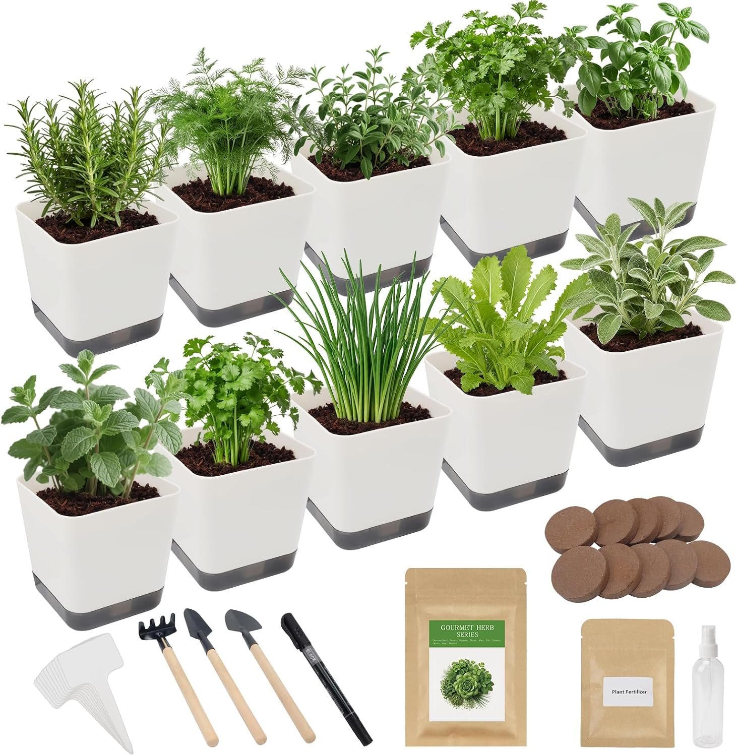 Majero Indoor Herb Garden Starter Kit, 10 Non-GMO Herb Seeds