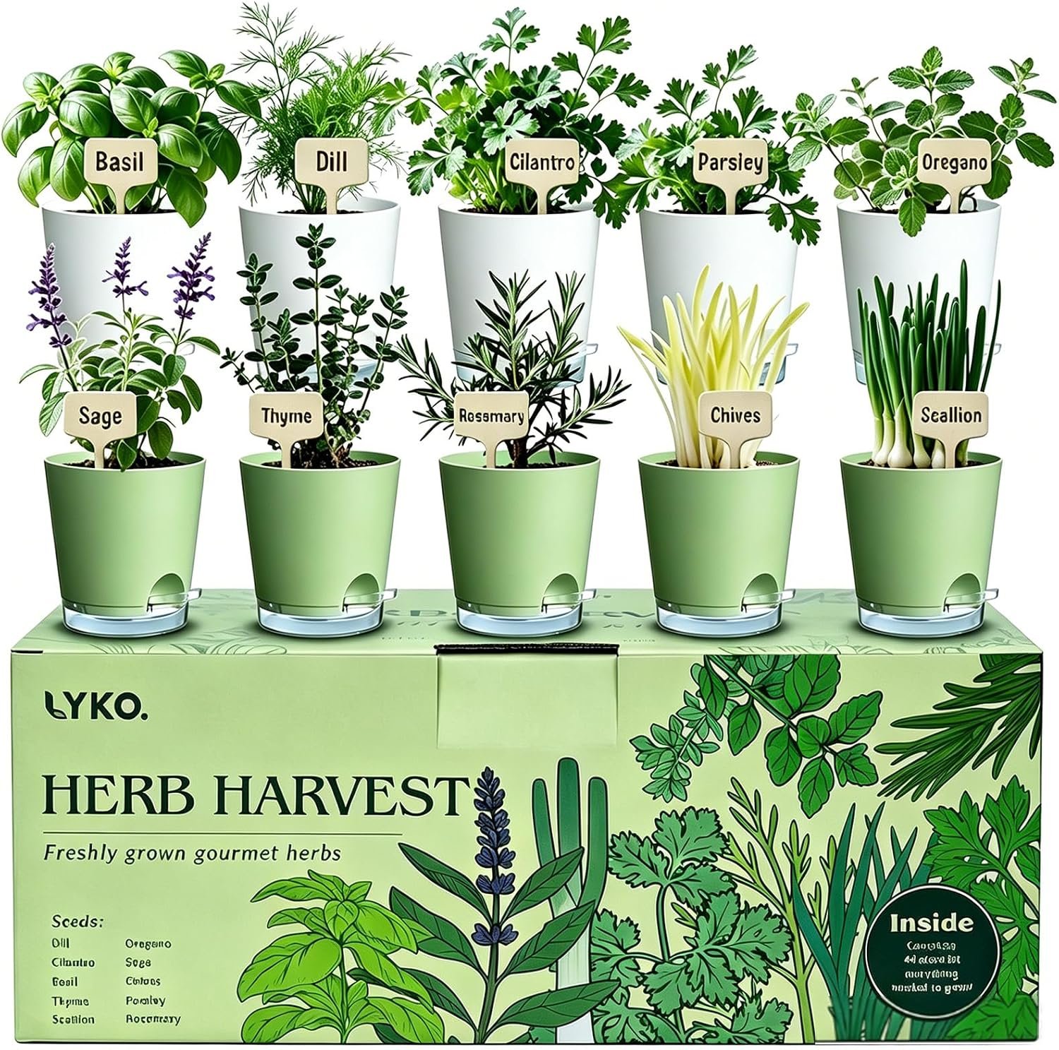 10 Indoor Herb Garden Kit, 54pcs Complete Kitchen Herb Starter Set Including 2-Color Self Watering Pots, Soil & Tools, Unique Gift Ideas for Plant Lovers, Women, Men, Friend, Birthday, Housewarming
